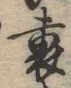 裏 위치 확인됨