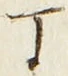 「丁」字