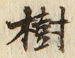 글자 樹