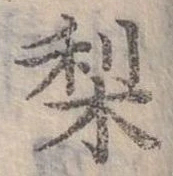 已定位梨