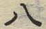 글자 八