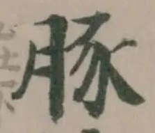 豚 위치 확인됨
