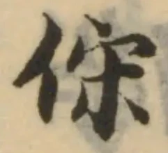 俕の位置