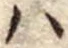 𛂞の位置