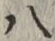 글자 八
