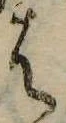 位置定マレル𛂦