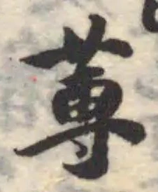 蒪の位置