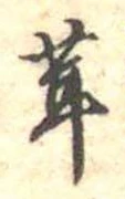 茸 위치 확인됨