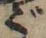 Located ご