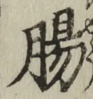 文字腸