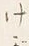 글자 う