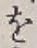 字を