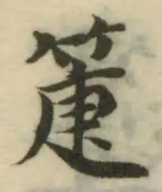 Located 箑