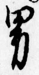 位置定マレル男