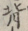 背 위치 확인됨