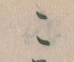 この位置