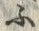 「ふ」字