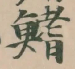 鰭の位置