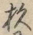 位置定マレル杉