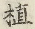 글자 植