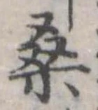 位置定マレル桑