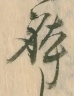 已定位体