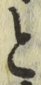 文字と