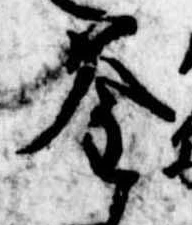 釜 위치 확인됨