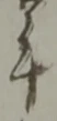 年の位置
