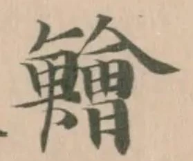 鱠 위치 확인됨