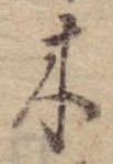 位置 確認된 木