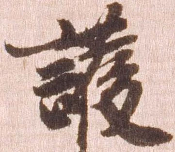 護の位置