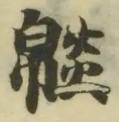 𤎥の位置