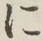 字に