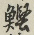 Character 鰹