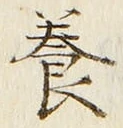 Chữ 養
