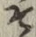 字そ