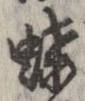 已定位蝶