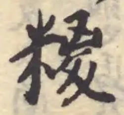 糉の位置