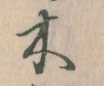 位置定マレル木