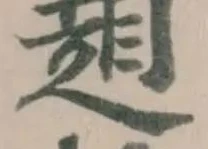 𧻃 위치 확인됨