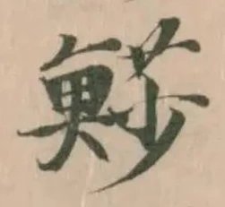 𩸌の位置