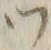 文字 ツ