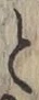 文字と
