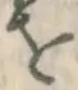 글자 を