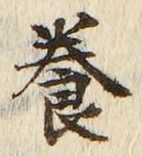 Chữ 養