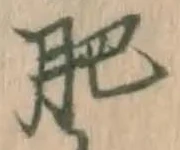 文字肥