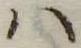 Đã định vị 𛂞