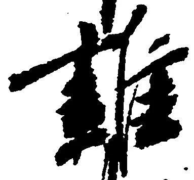 雑の位置