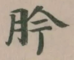 肣 위치 확인됨